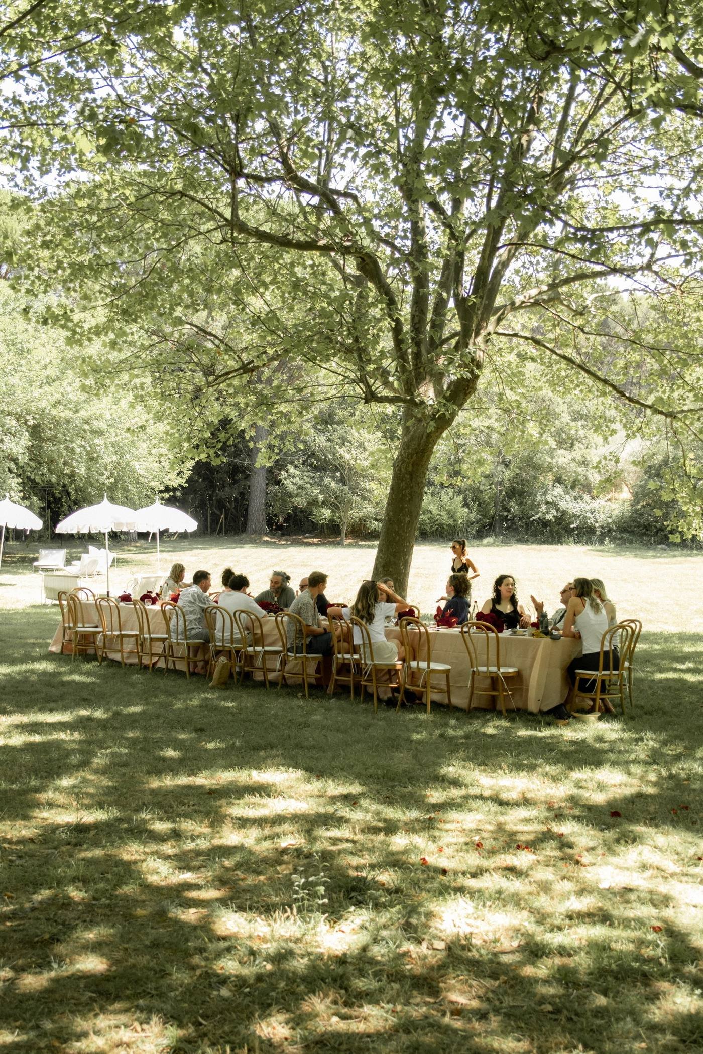 Les invités attablés sous un grand arbre, au matin