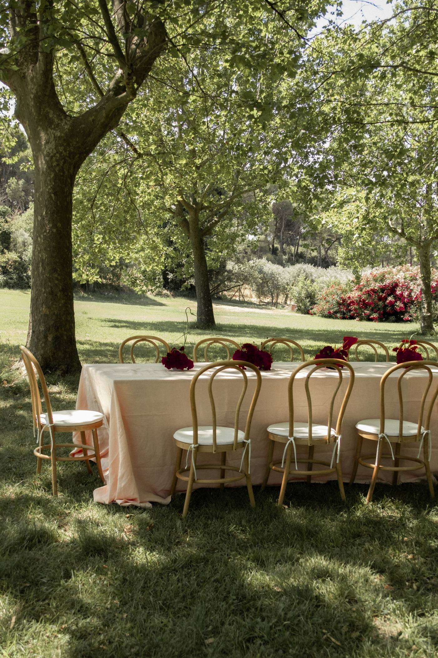 Table dressée à l'ombre d'un platane, chaises bistrot