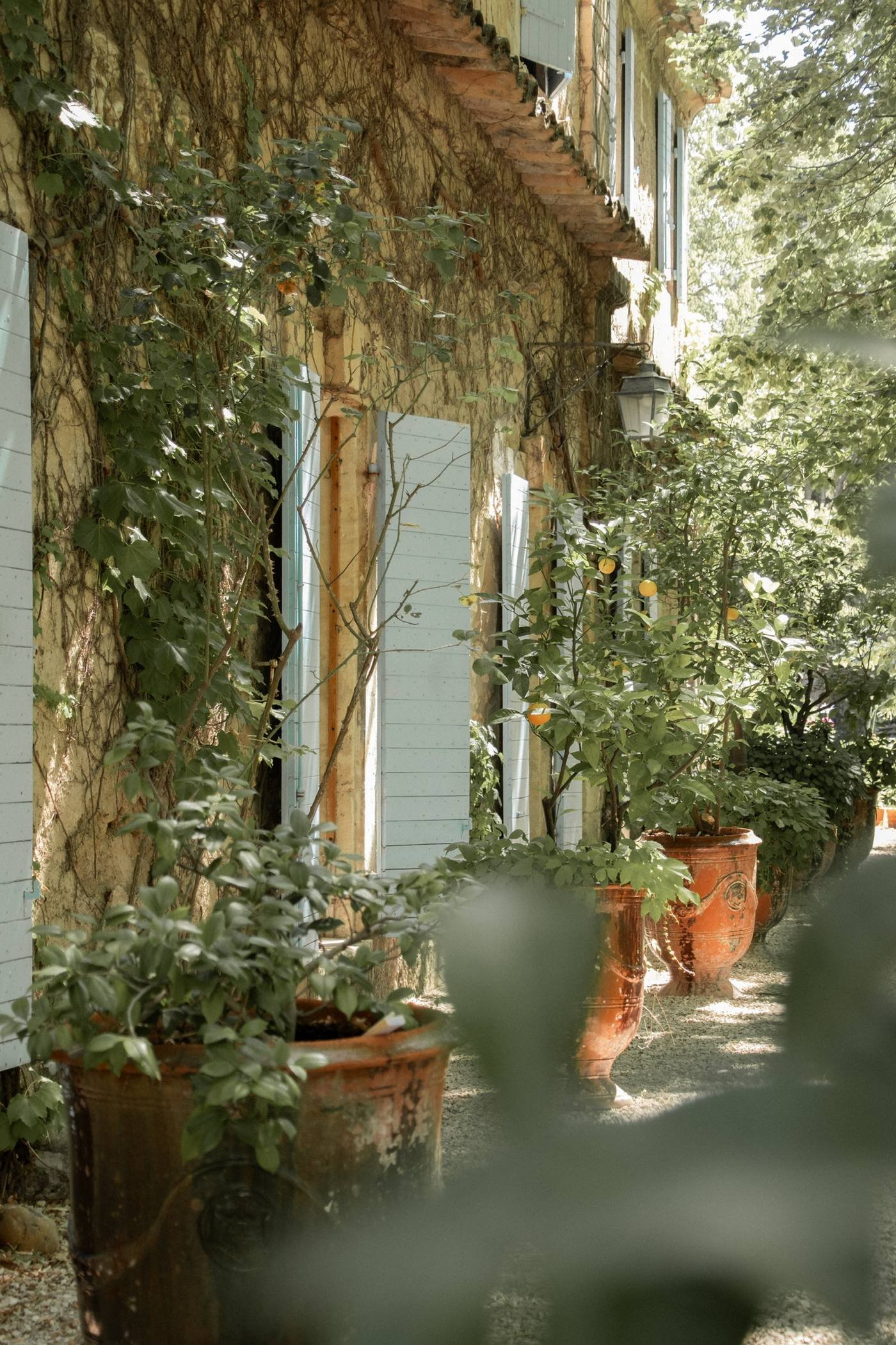 Façade de bastide, volets pastel et pots en terre cuite